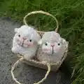 The Little Sheep Amigurumi Pattern step 1 - construction progress