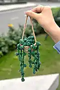Succulent Potted Plant Car Pattern step 2 - assembly progress