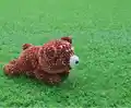 My Little Bear Amigurumi Pattern step 1 - construction progress
