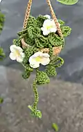 Hanging Plant Car Crochet Pattern step 2 - assembly progress