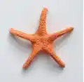 Starfish Crochet Pattern step 3 - details and accessories