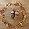 Magic Autumn Pine Cone Fairy Amigurumi Pattern step 3 - details and accessories