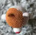 Mini Cat Amigurumi Pattern step 3 - details and accessories
