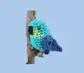 Mini Parrot Amigurumi Pattern step 4 - final assembly and finishing