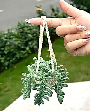 Fern Plant Car Pattern