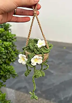Hanging Plant Car Crochet Pattern