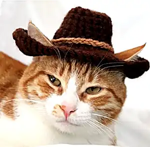 Cowboy Cat Hat Pattern