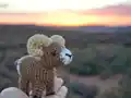 Bobby the Bighorn Sheep Amigurumi Pattern step 1 - construction progress