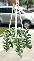 Fern Plant Car Pattern step 2 - assembly progress